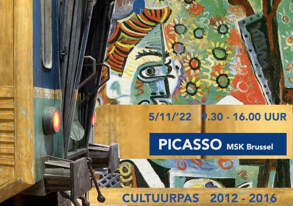 Cultuurpas - Picasso Museum Schone Kunsten Brussel